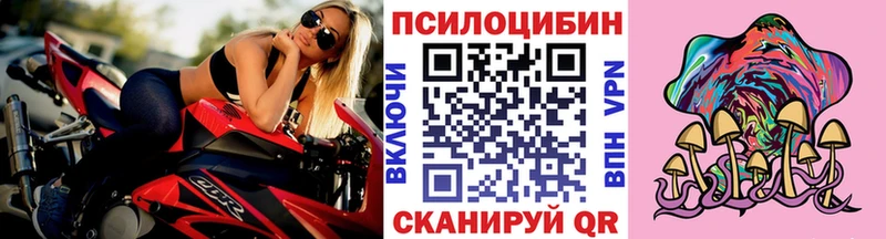 Псилоцибиновые грибы прущие грибы  Сортавала 